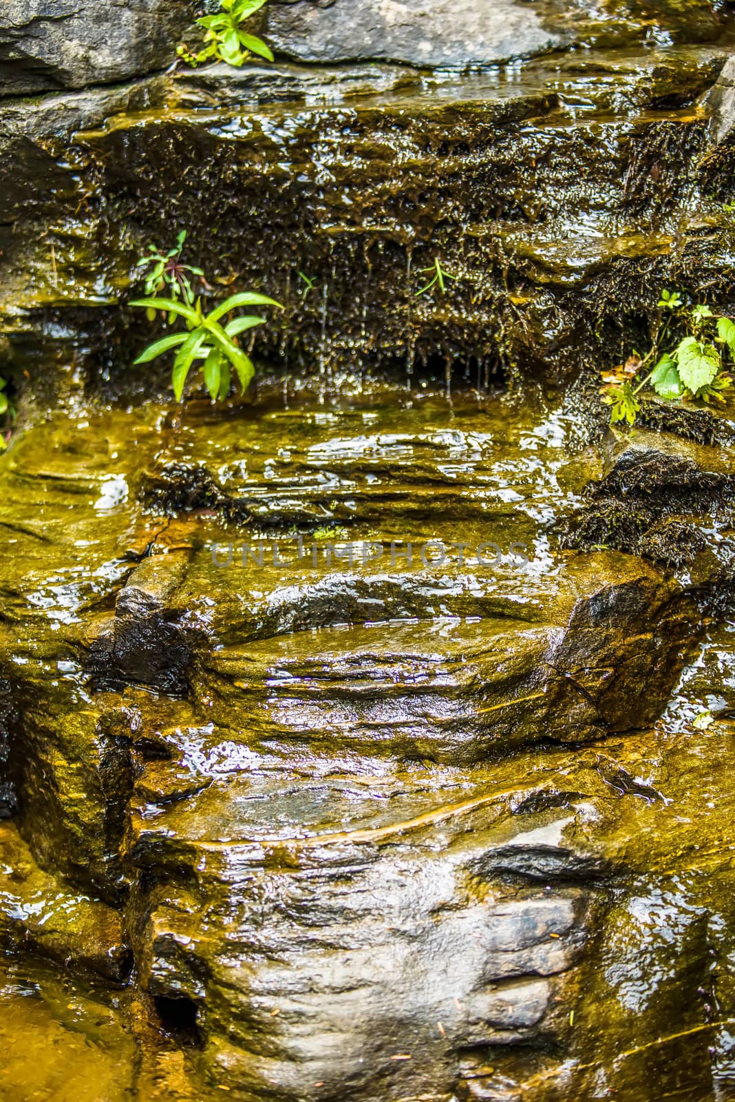 hickory nut waterfalls during daylight summer by digidreamgrafix