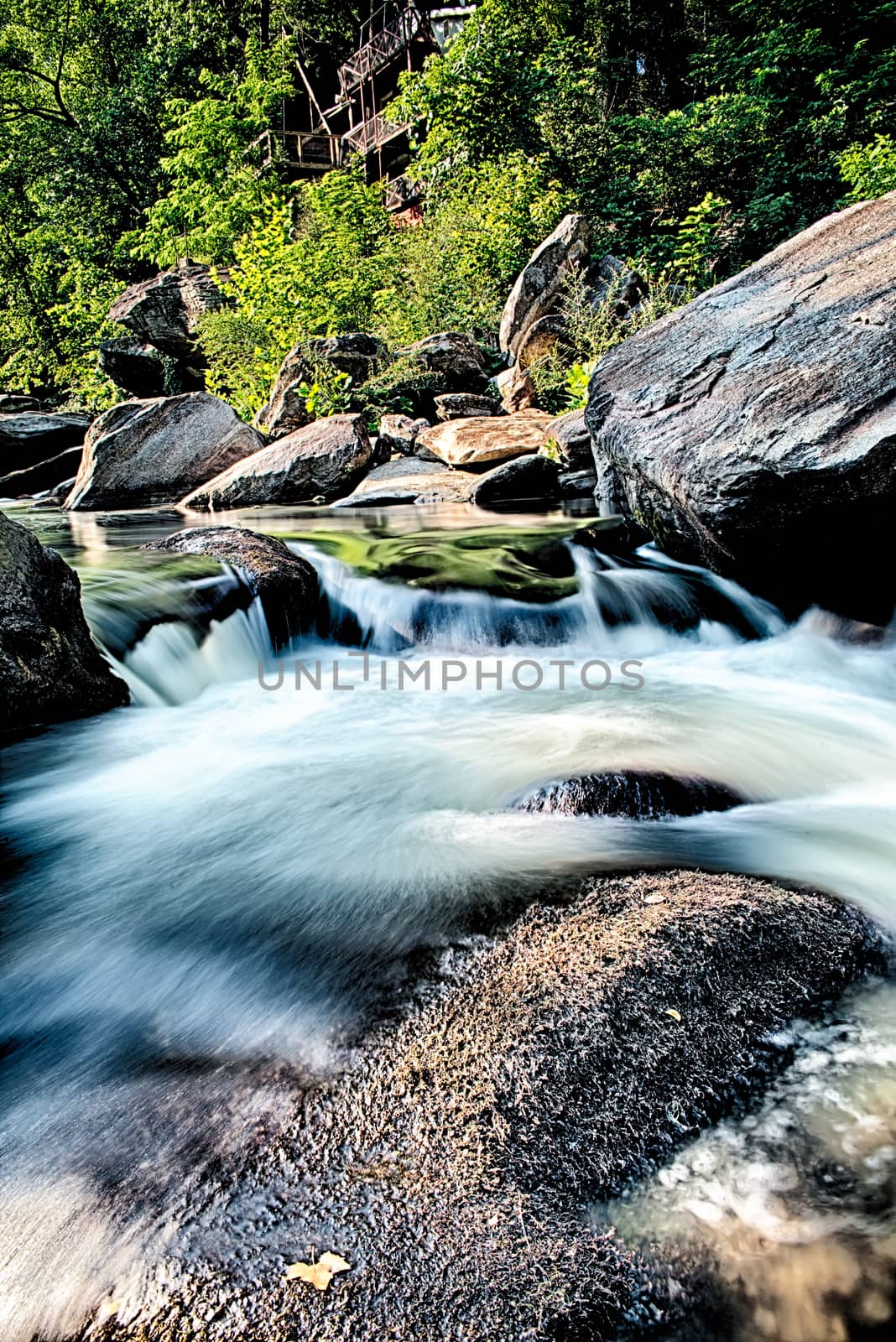 broad river flowing through wooded forest by digidreamgrafix