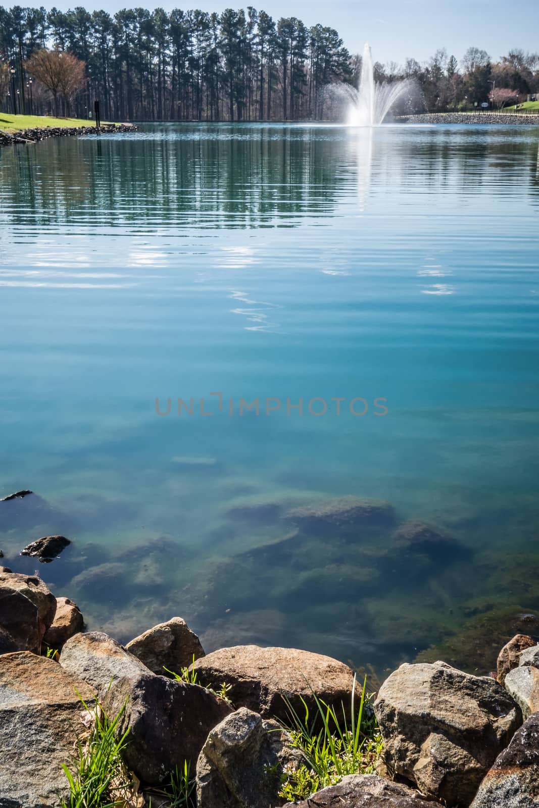 nature reflections in town lake by digidreamgrafix