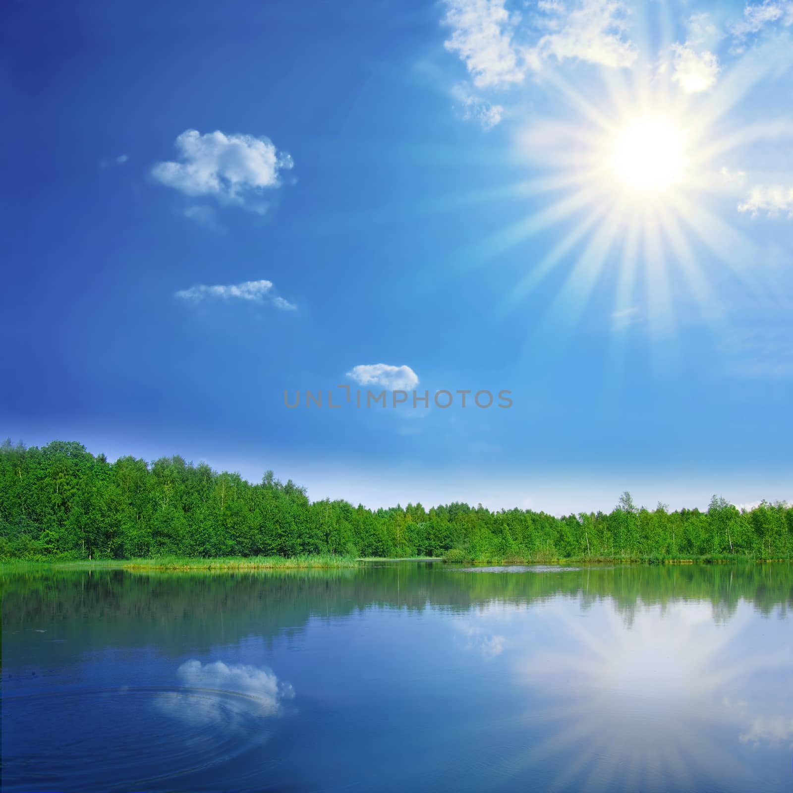 Rural landscape. Bright sun over the lake.