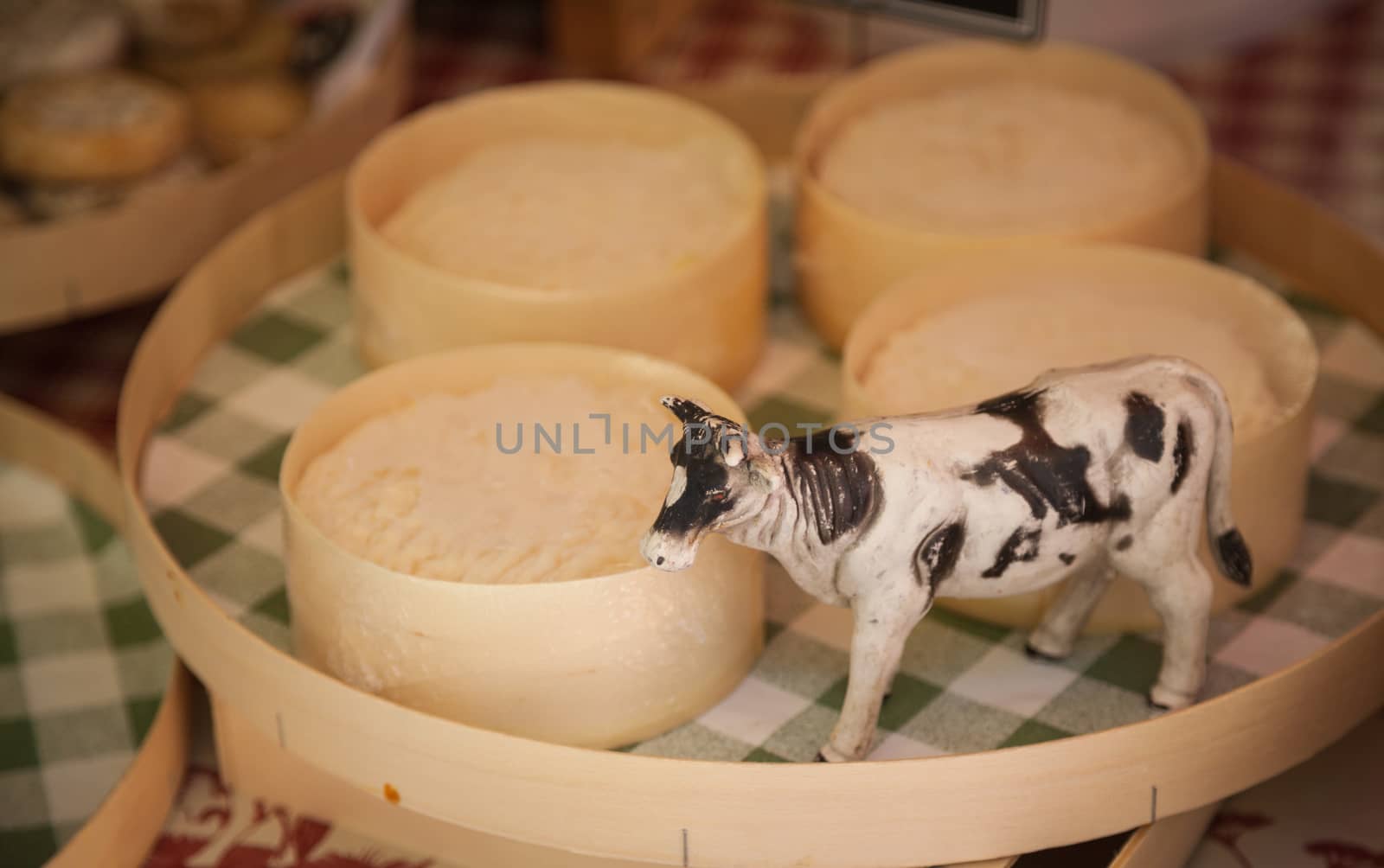 Cheese on a market in Provence, France