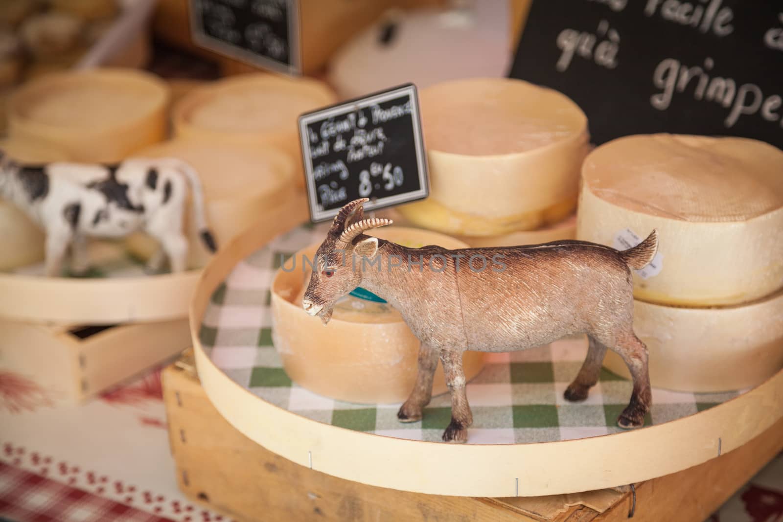 Cheese on a market in Provence, France