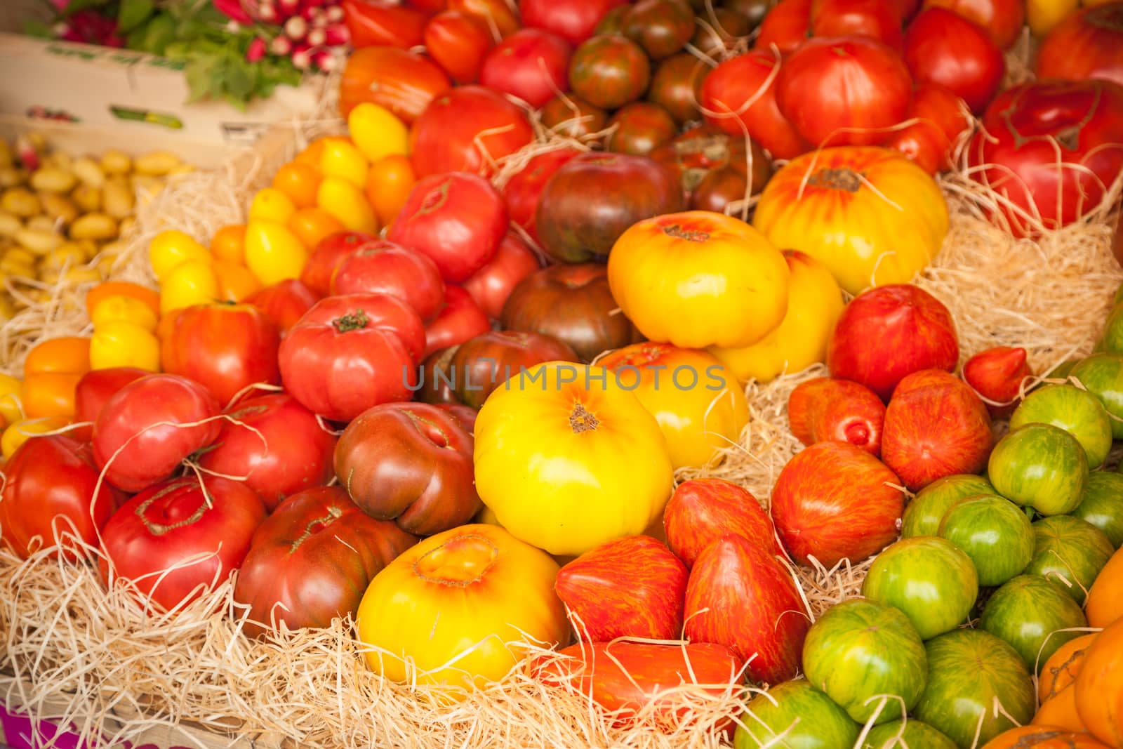 Vegetables on a market in Provence, France