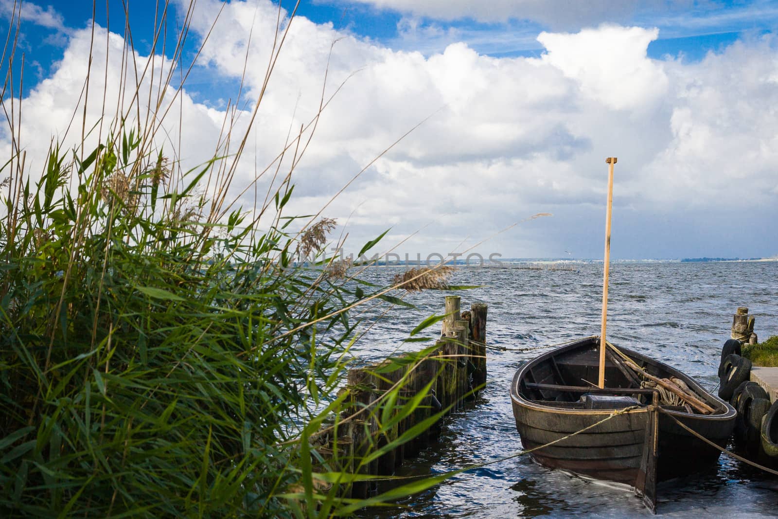 Landscape on Lieper Winkel on the Usedom peninsula with boat in foreground