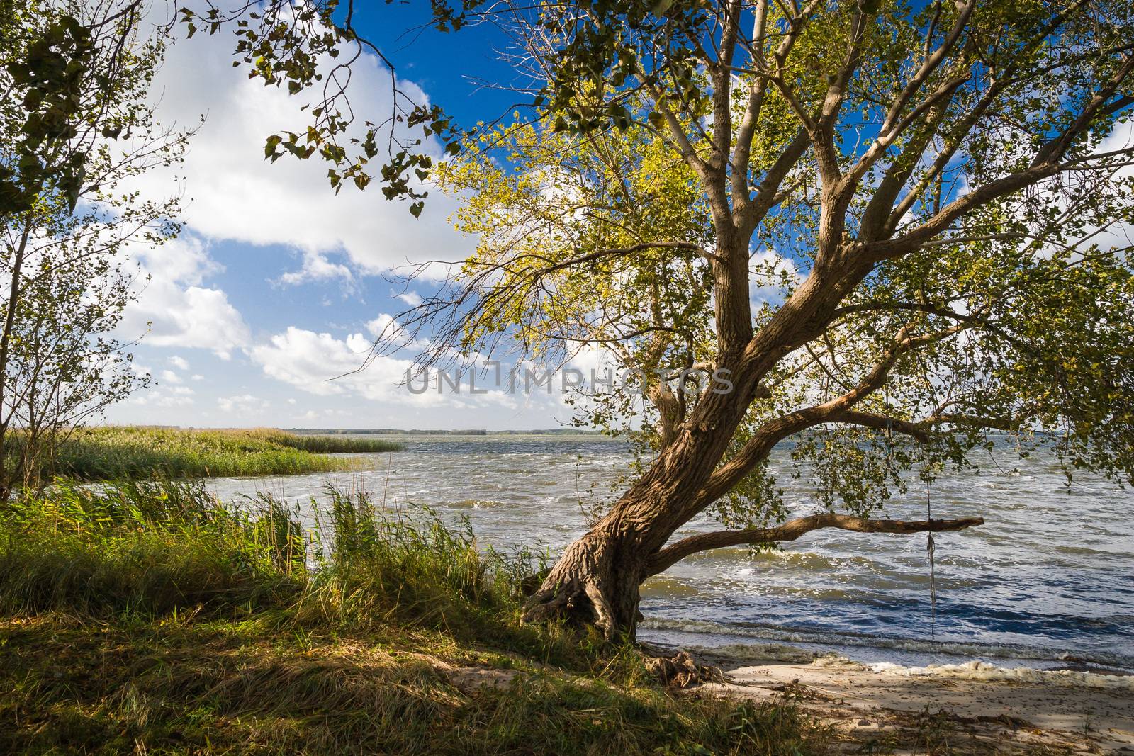 Landscape on Lieper Winkel on the Usedom peninsula