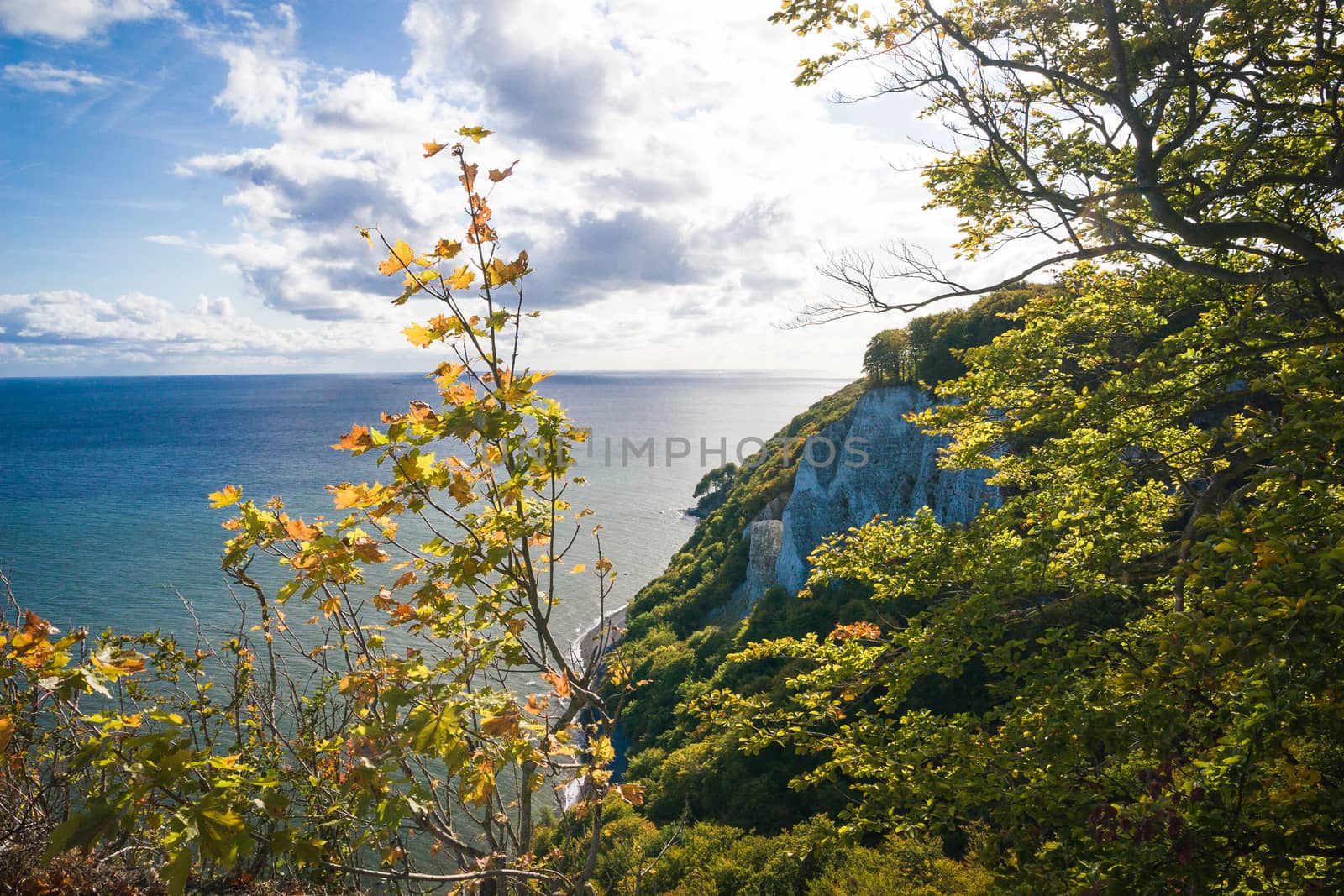 Chalk cliffs in the Jasmund National Park on Rügen