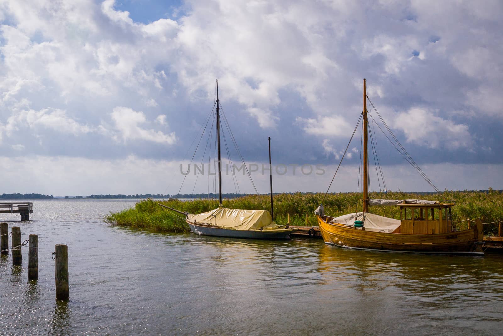 Old sailing boats in the port of Ahrenshoop in Darß on the Baltic Sea