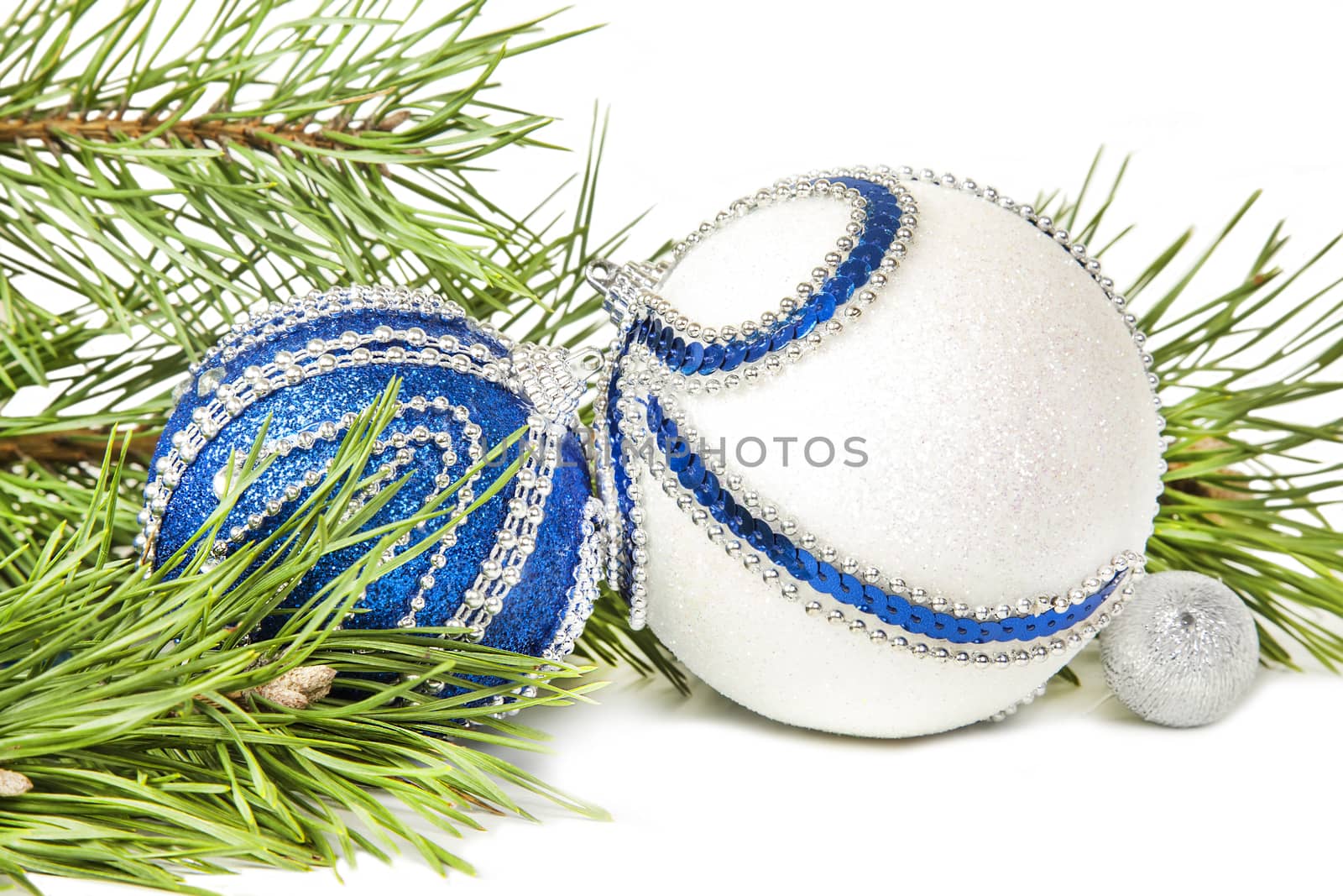 Christmas spruce and blue with white glitter balls isolated