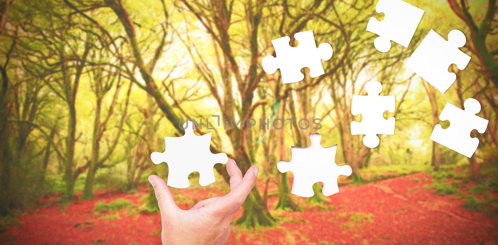 Businessman pointing with his finger against peaceful autumn scene in forest