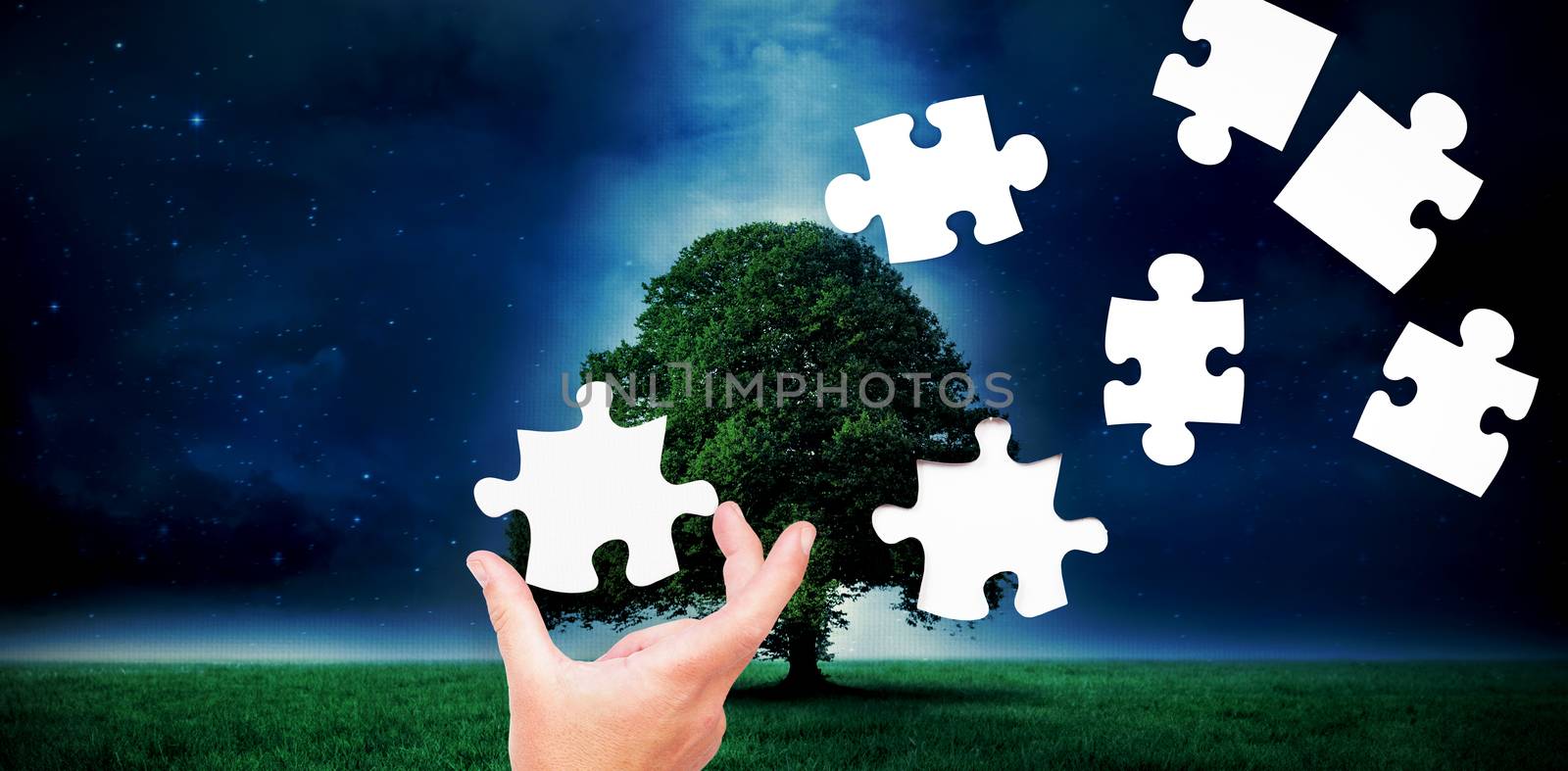 Businessman pointing with his finger against tree in field at night