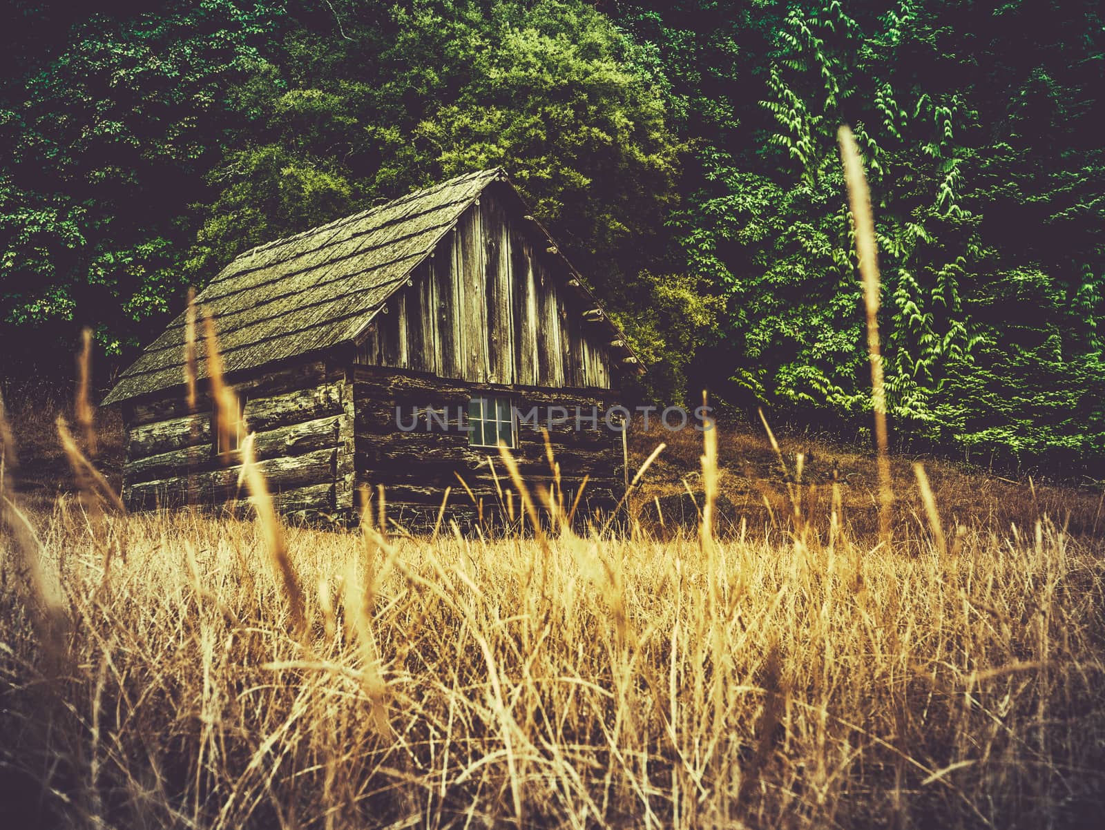 Rustic Old Farm Building Or Barn In A Field Of Grass