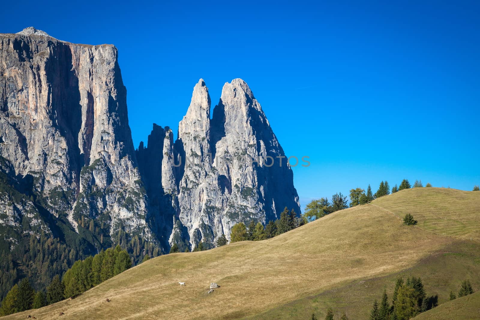 Seiser Alm and Rosengarten in South Tyrol