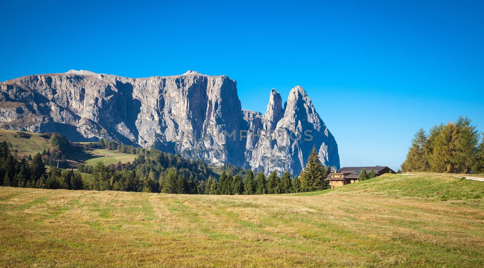 Seiser Alm and Rosengarten in South Tyrol