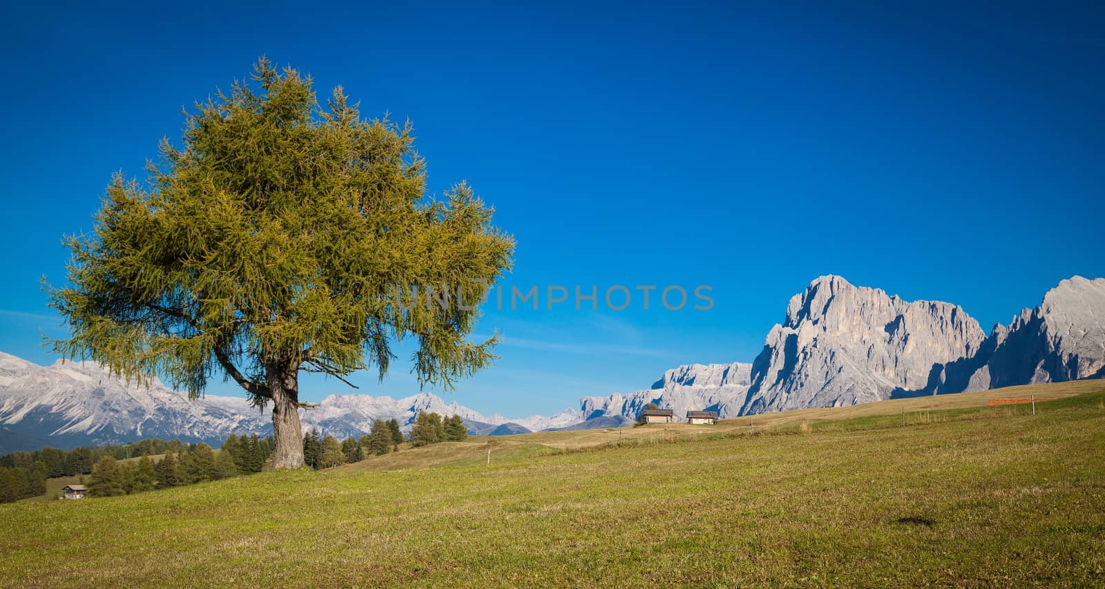 Seiser Alm and Rosengarten in South Tyrol