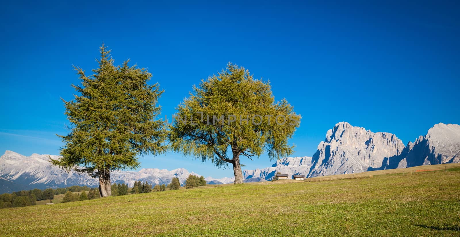 Seiser Alm and Rosengarten in South Tyrol