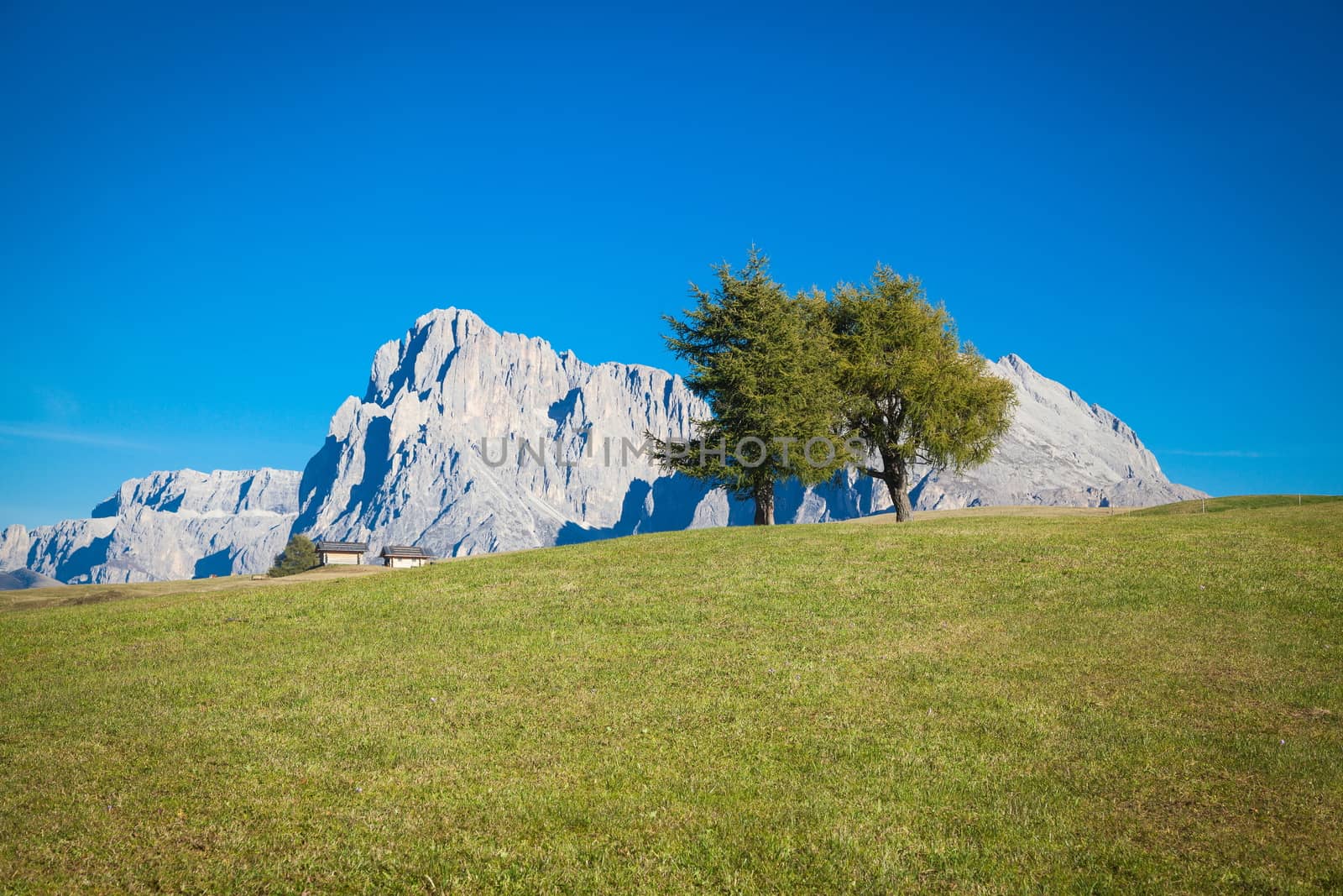 Seiser Alm and Rosengarten in South Tyrol