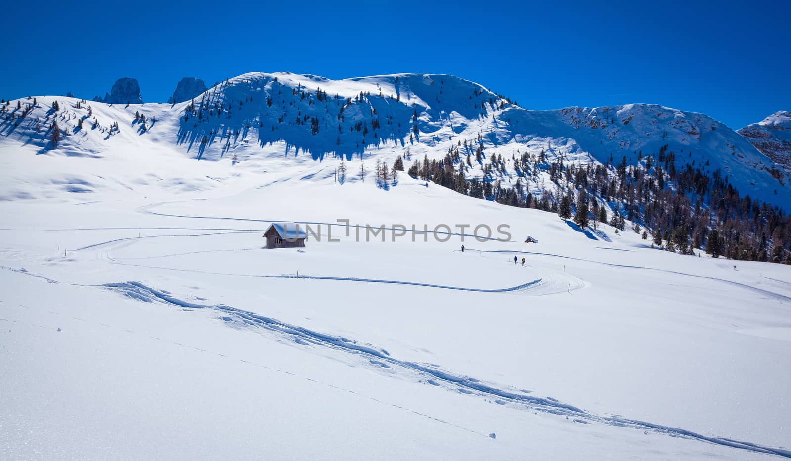 Winter landscape in South Tyrol with a lot of snow