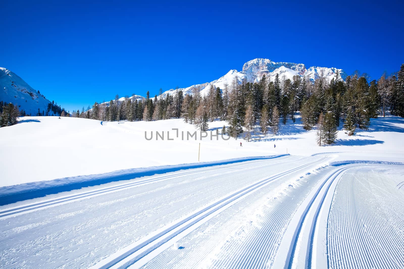 Winter landscape in South Tyrol with a lot of snow