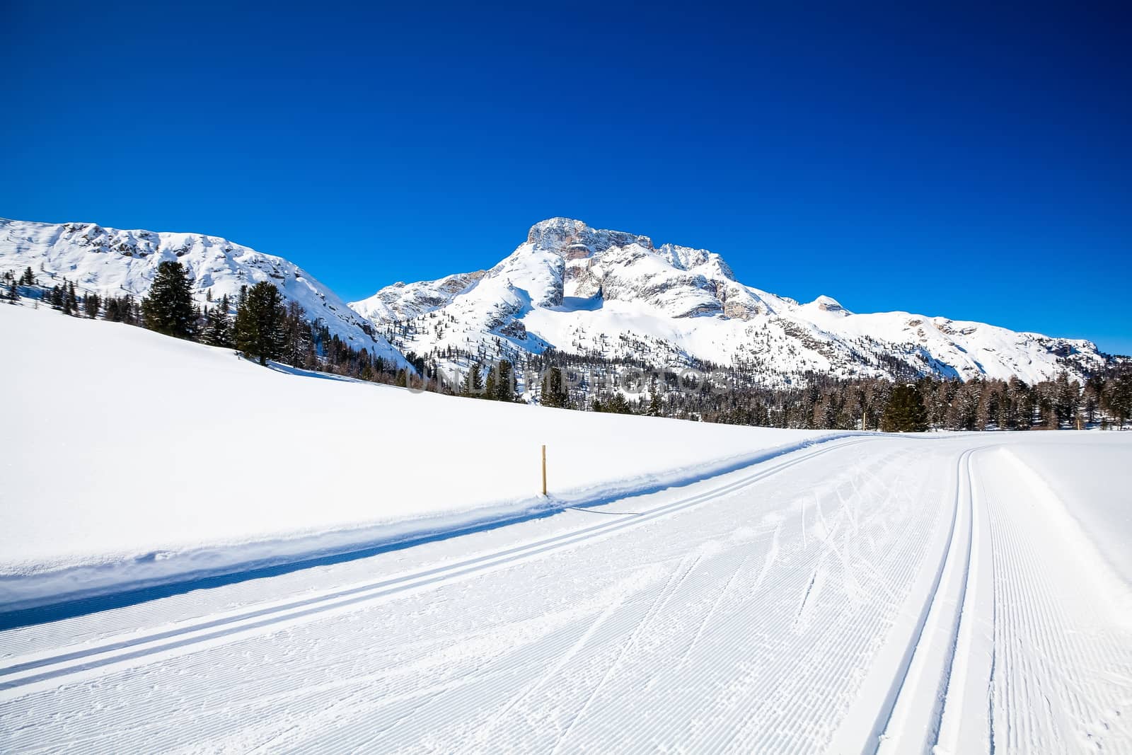 Winter landscape in South Tyrol with a lot of snow