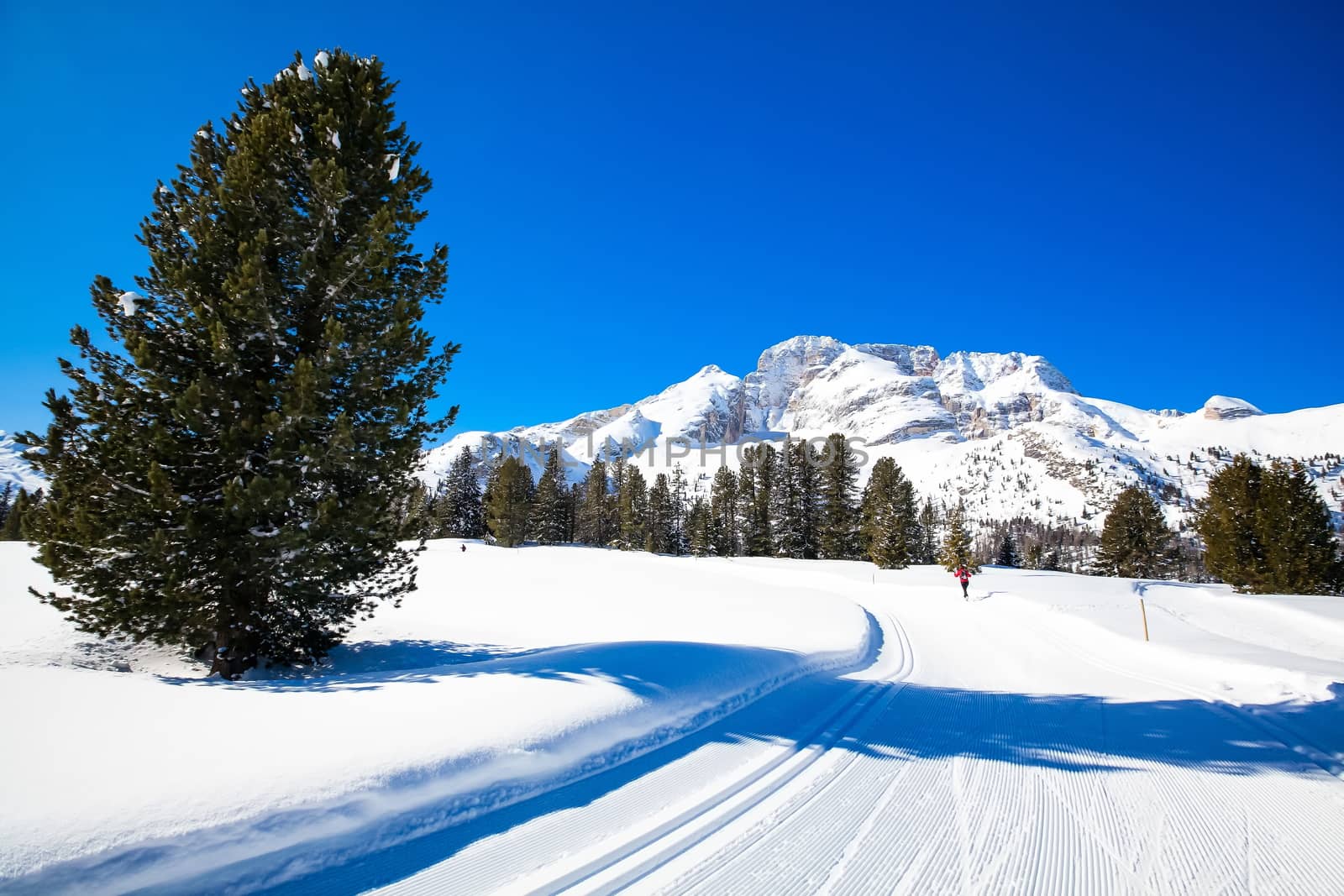 Winter landscape in South Tyrol with a lot of snow