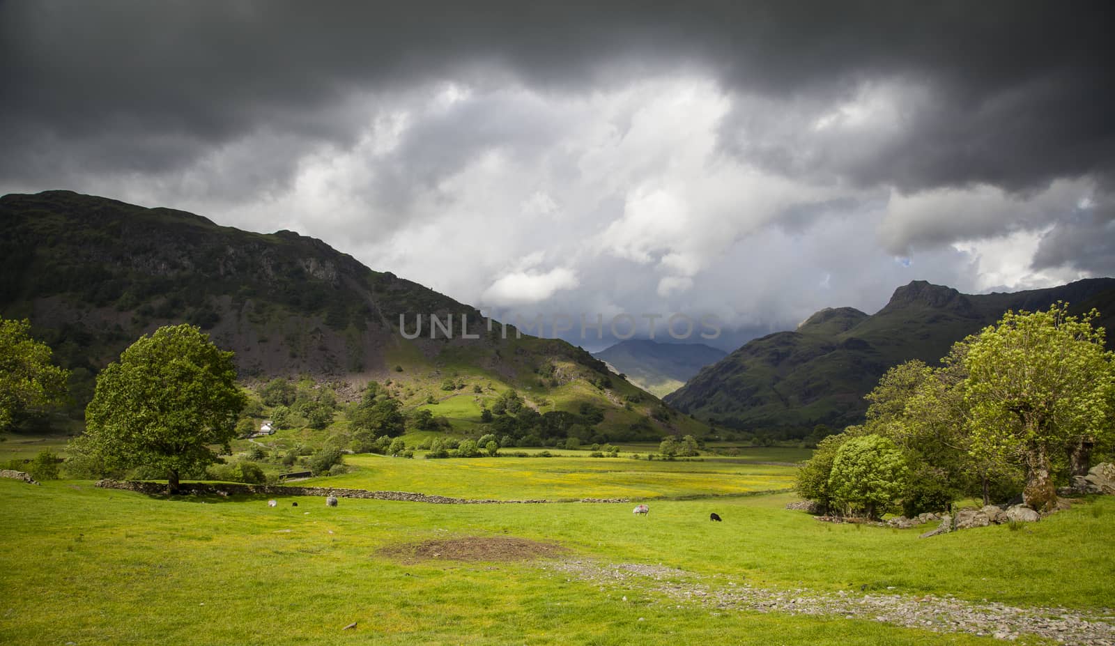 A typical landscape in Lake District, Cumbria