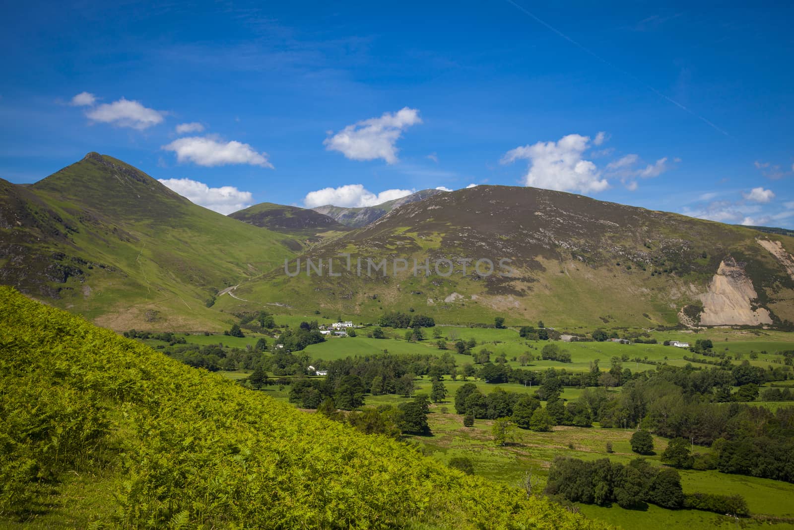 View from  Catbells down to Derwentwater and  Keswick and the surrounding