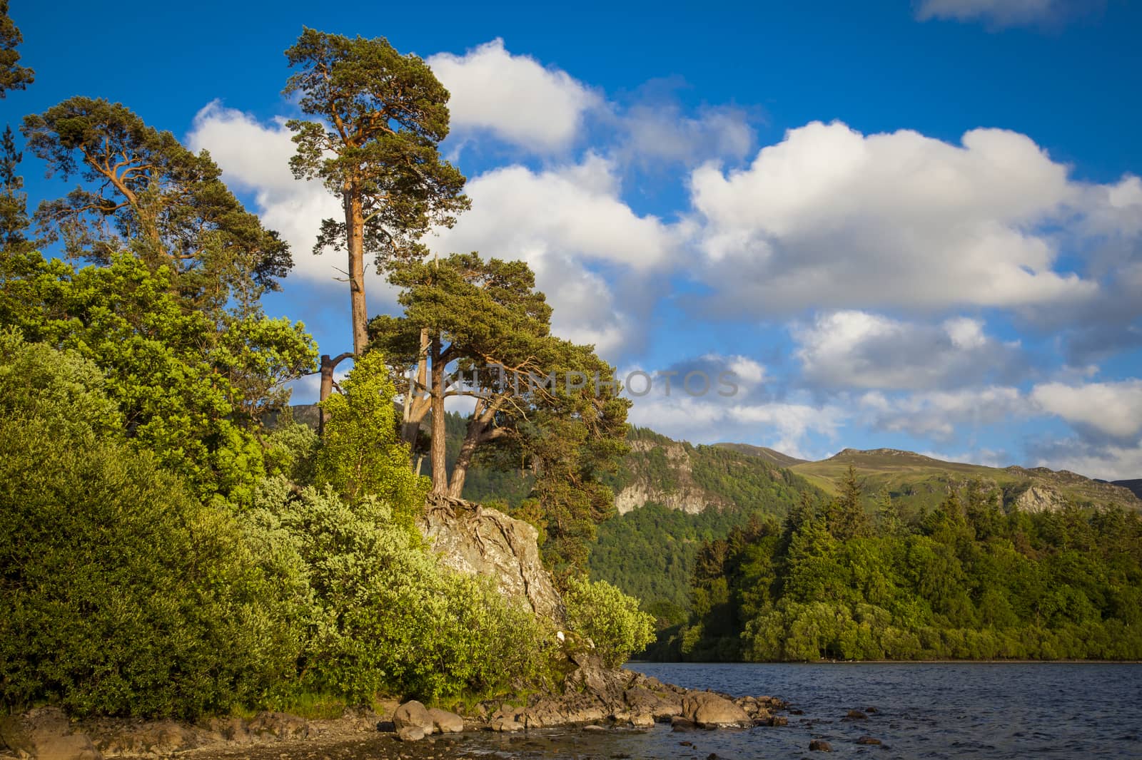 On the shores of Derwentwater near Keswick