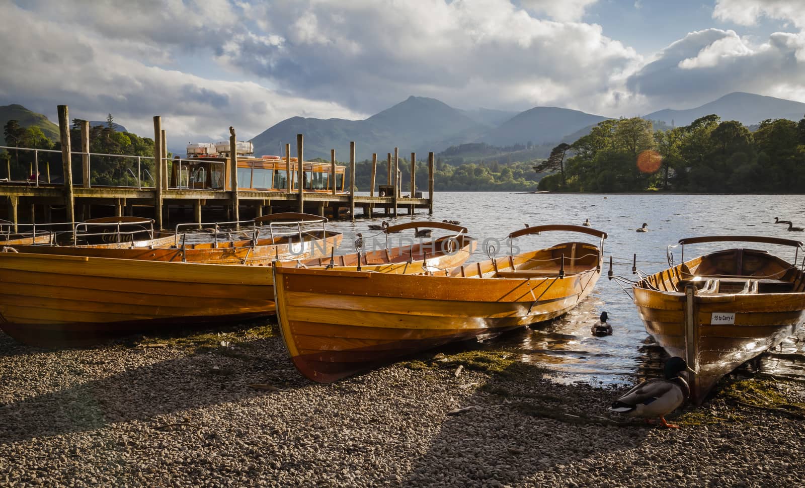 Rowing boats at Derwentwater in the evening light