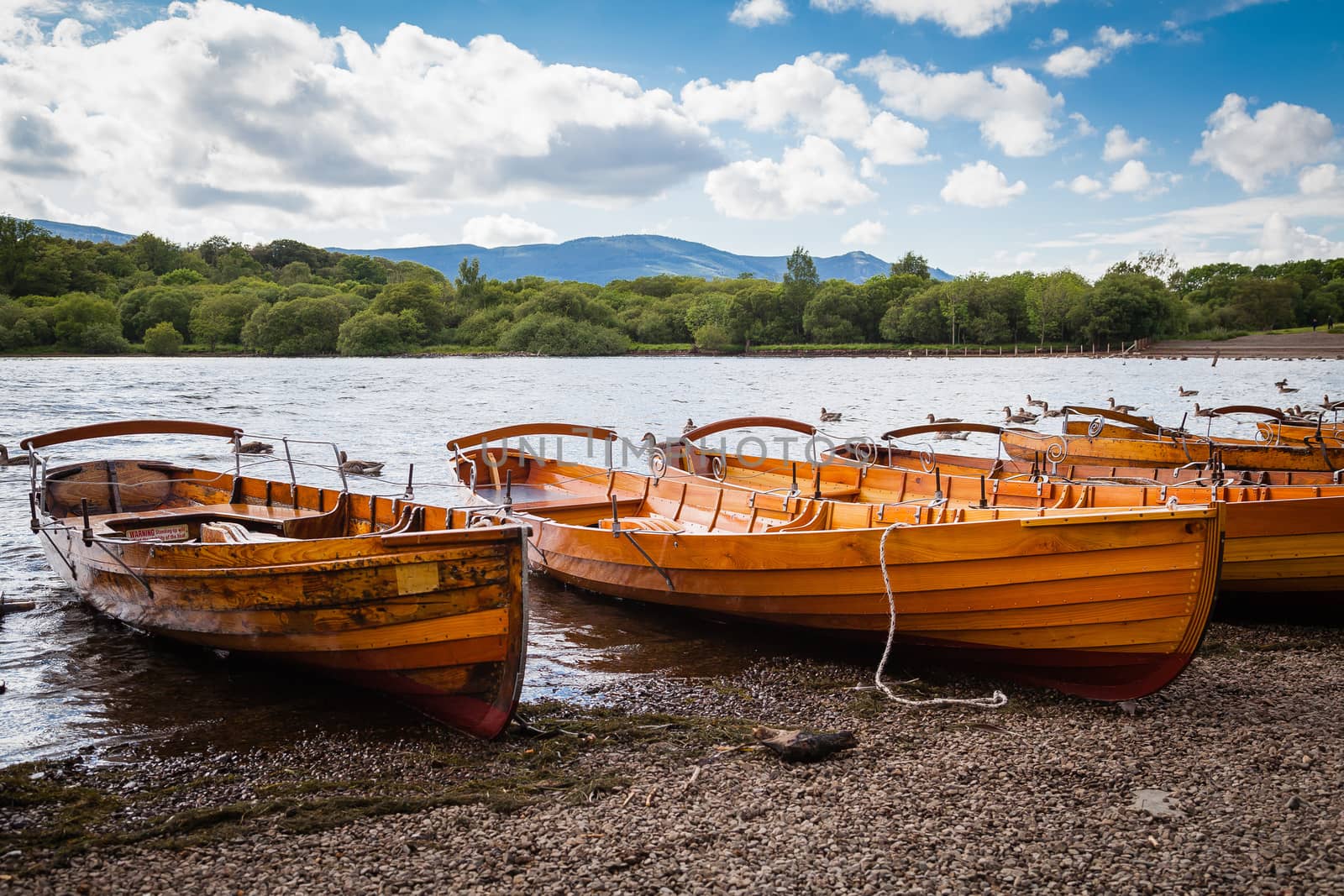 Rowing boats at Derwentwater in the evening light