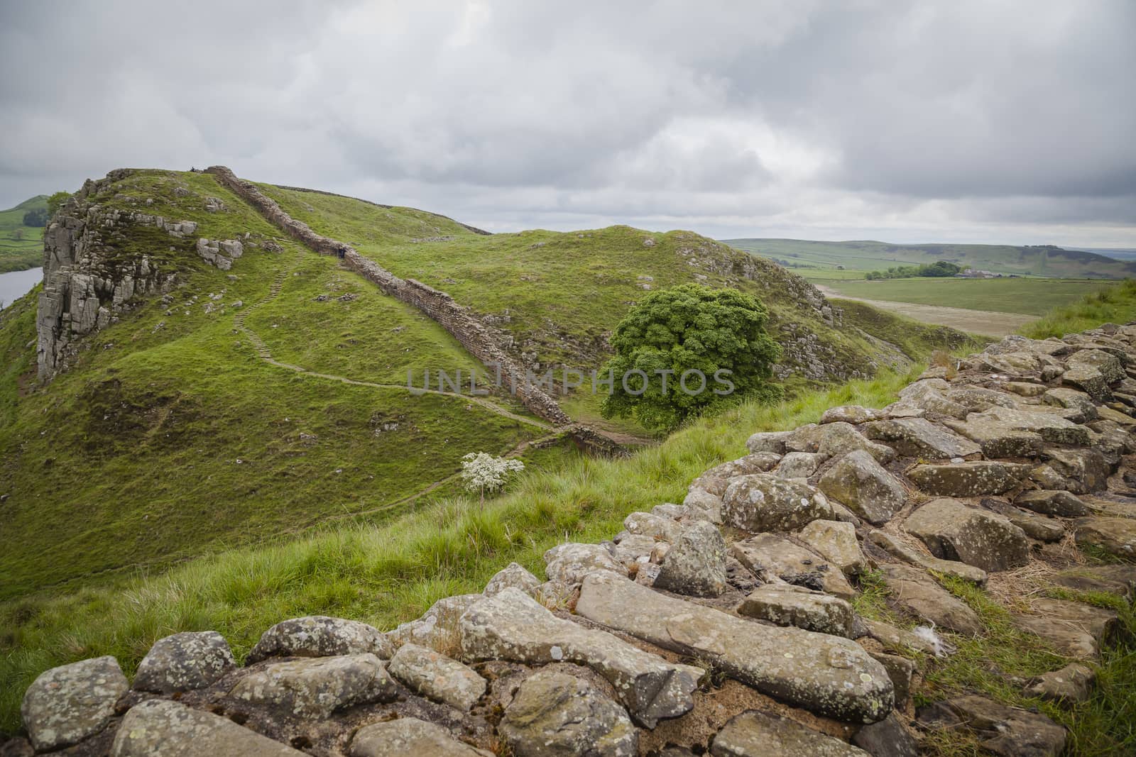 Green meadows and hills along Hadrian's Wall