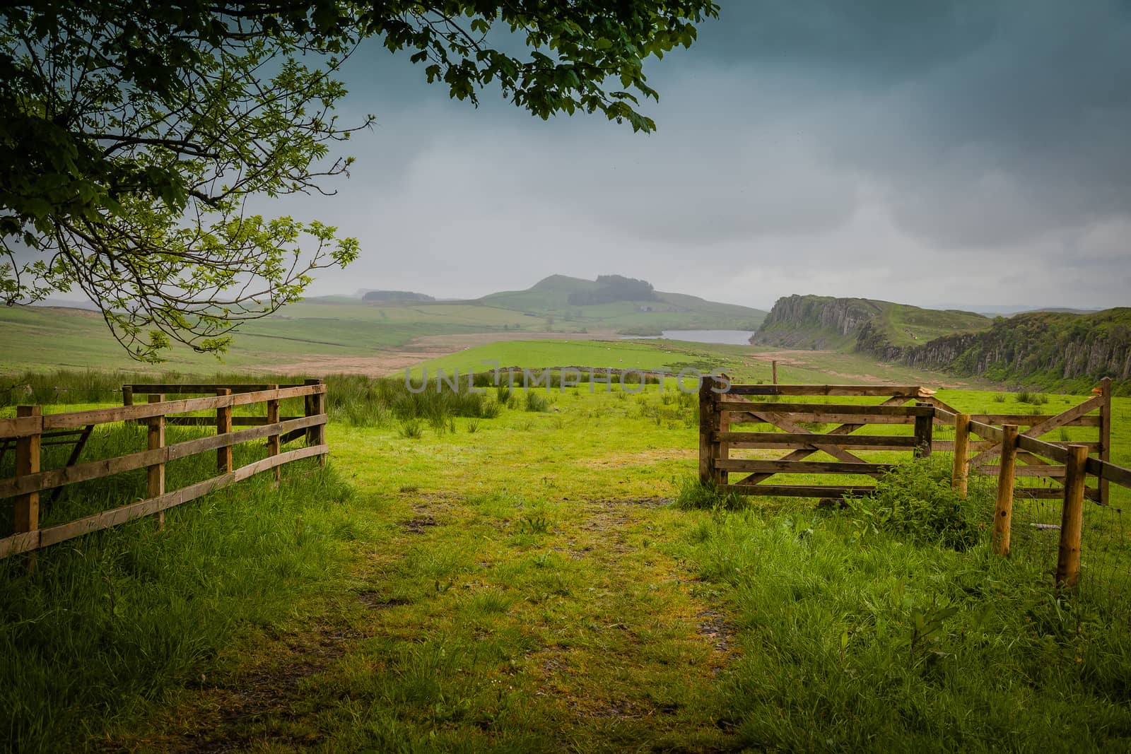 Green meadows and hills along Hadrian's Wall