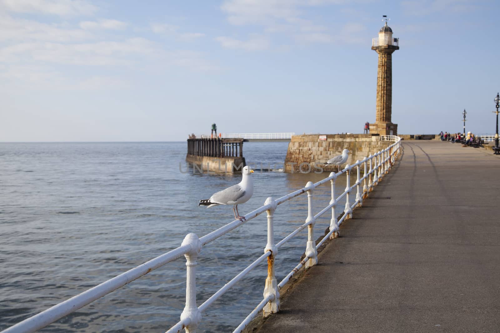 The harbour and lighthouses of Whitby