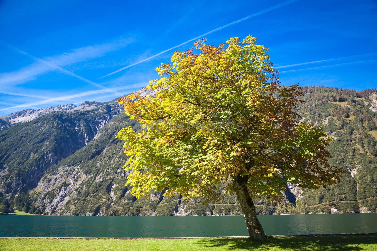 Autumn at the lake Achensee in Austria