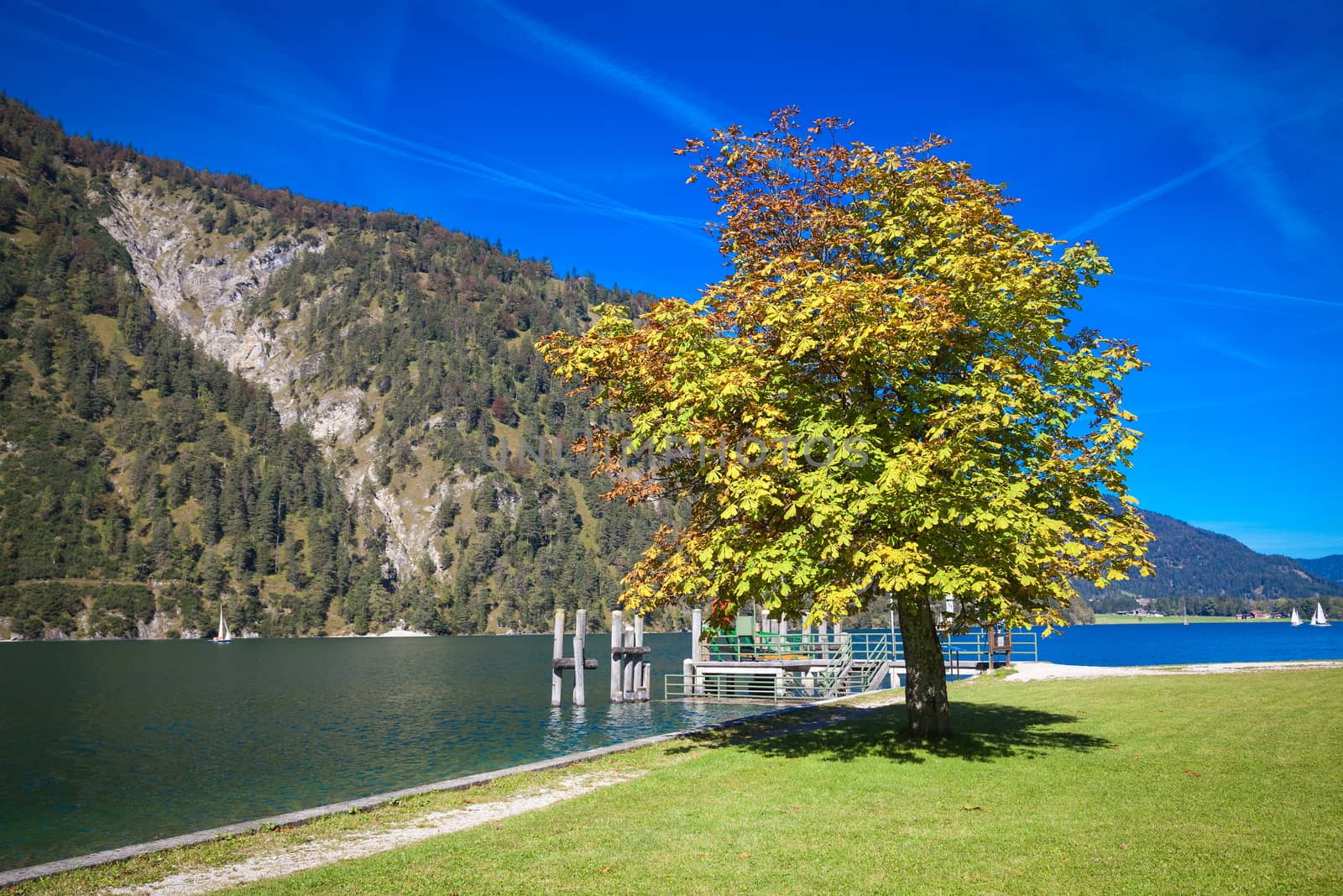 Autumn at the lake Achensee in Austria