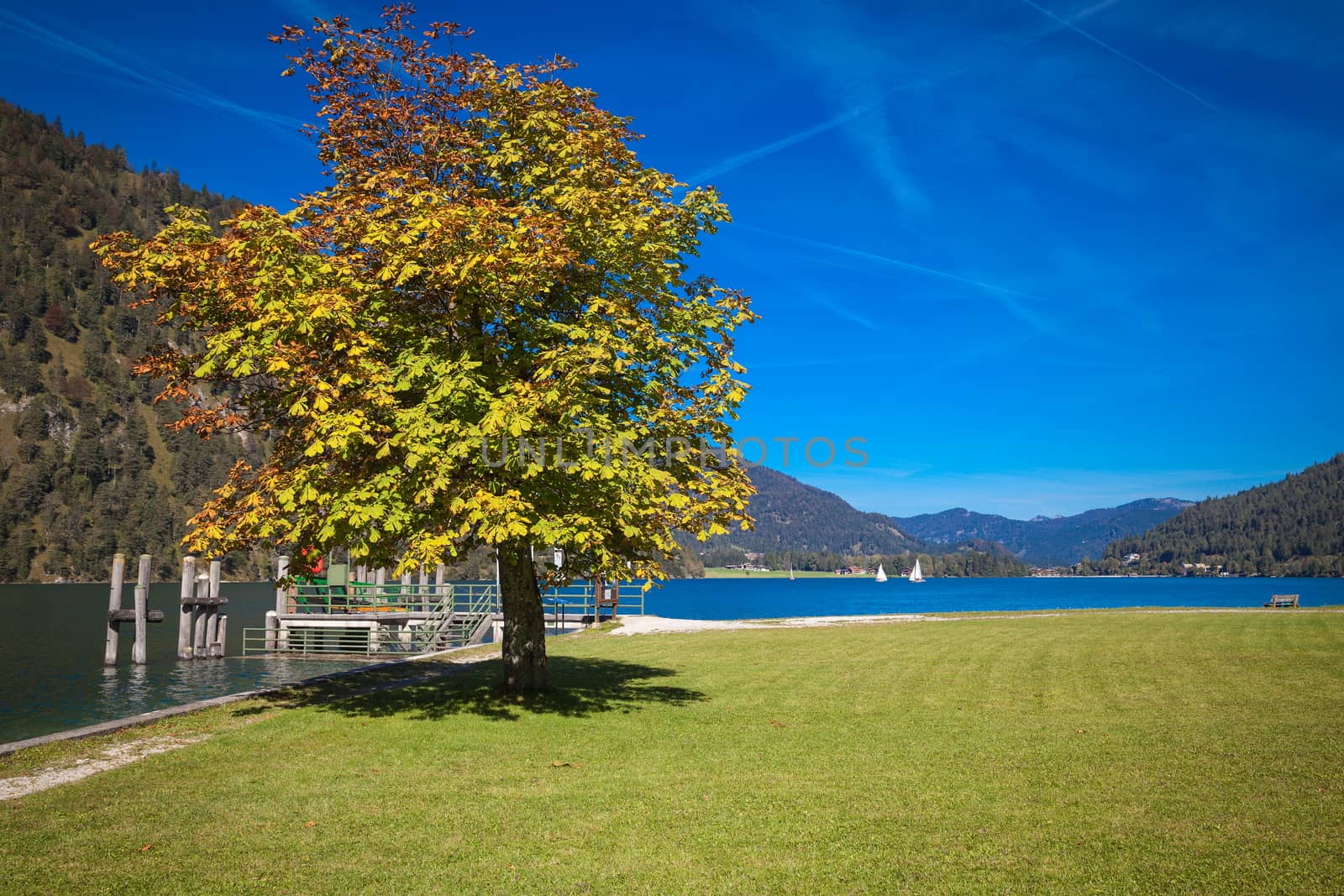 Autumn at the lake Achensee in Austria