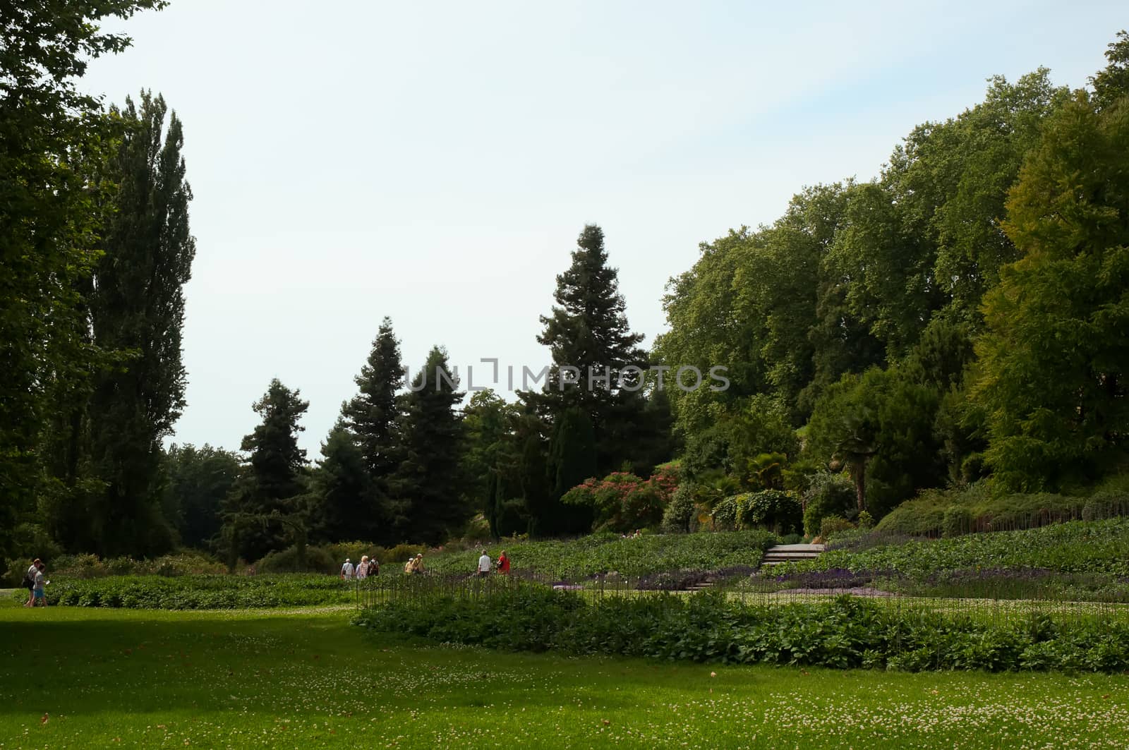 Landscaped park on the island of Mainau. Germany