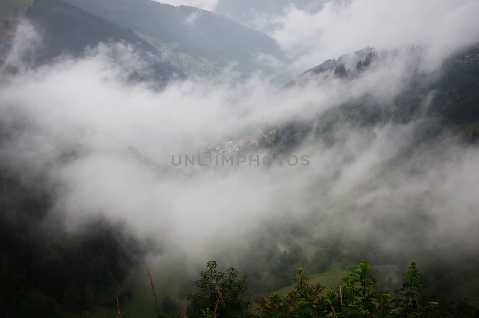 Fog in the mountains in the Black Forest. Germany.