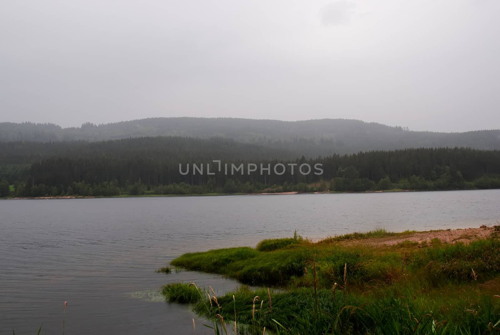 Scenery around  Titisee - a lake in the Black Forest (Southern Germany)