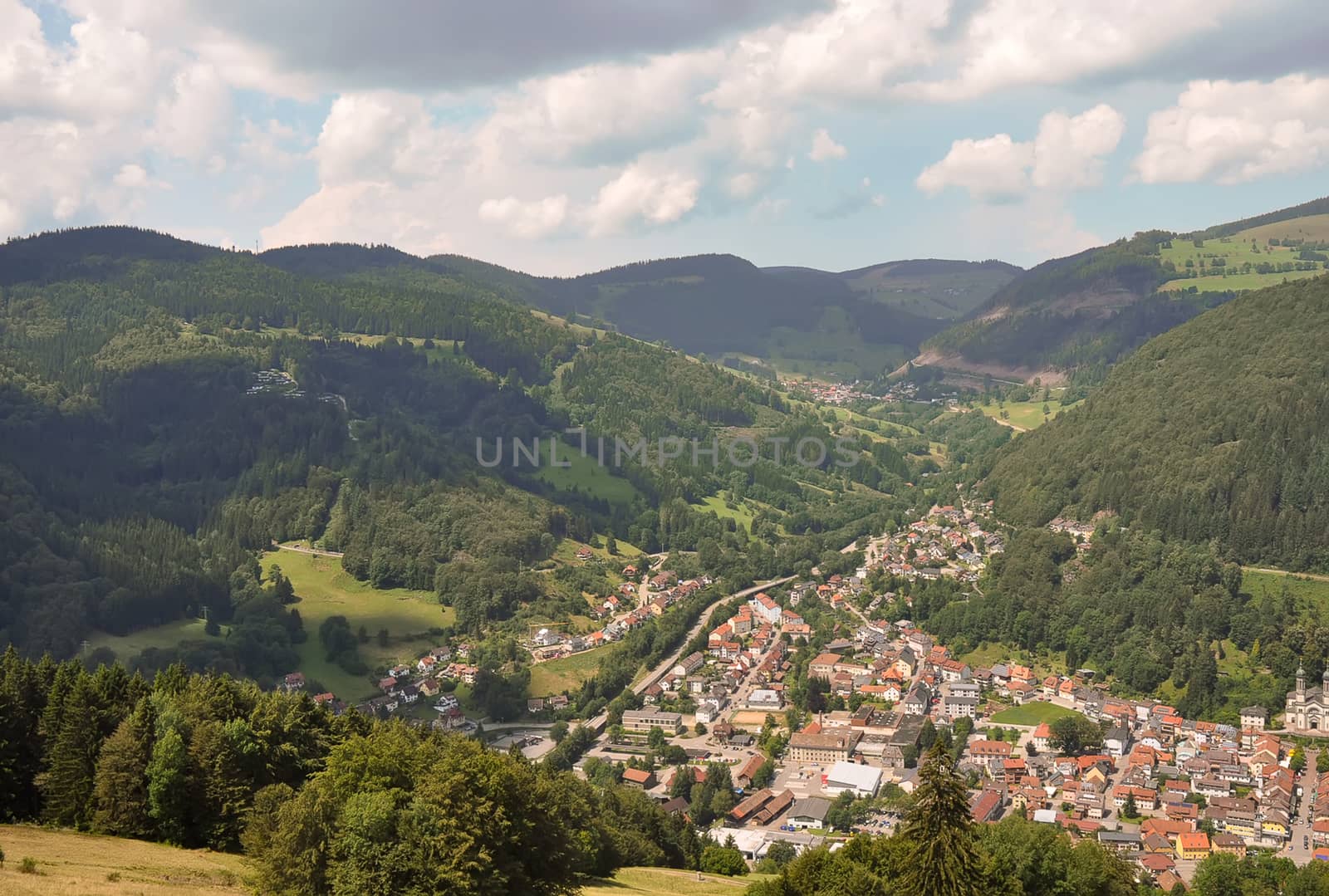 Landscape of meadows in the central Black Forest .