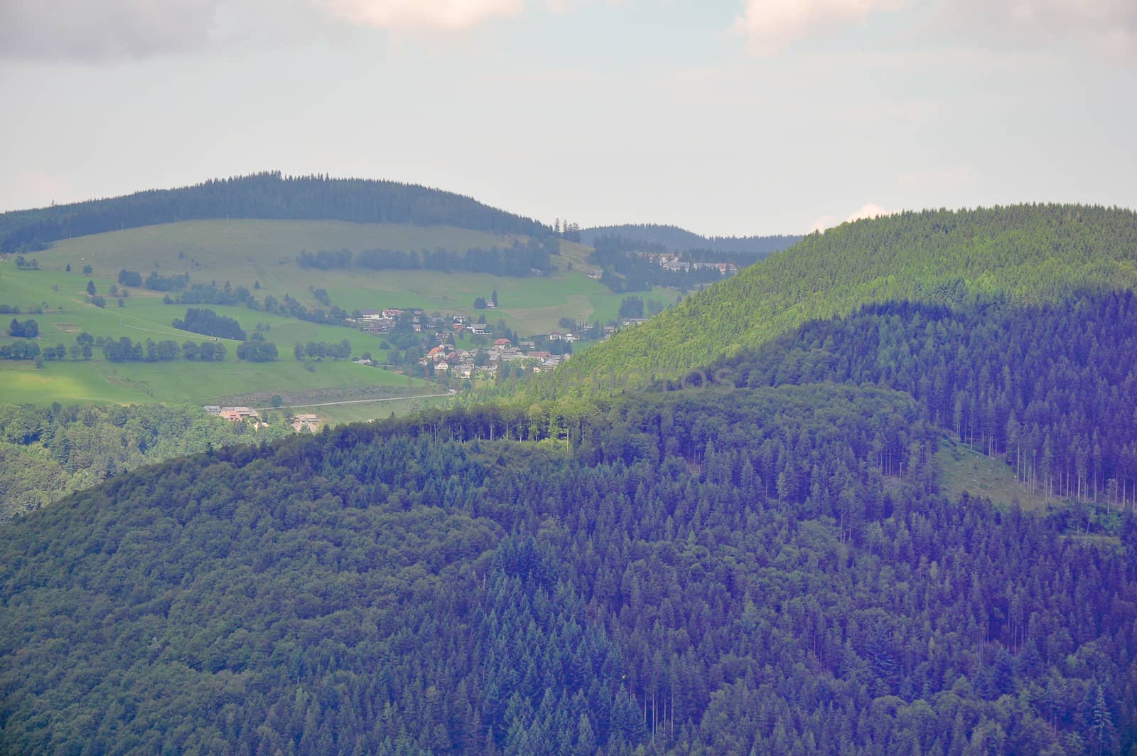 Black Forest .Germany .Mountain .Top view .