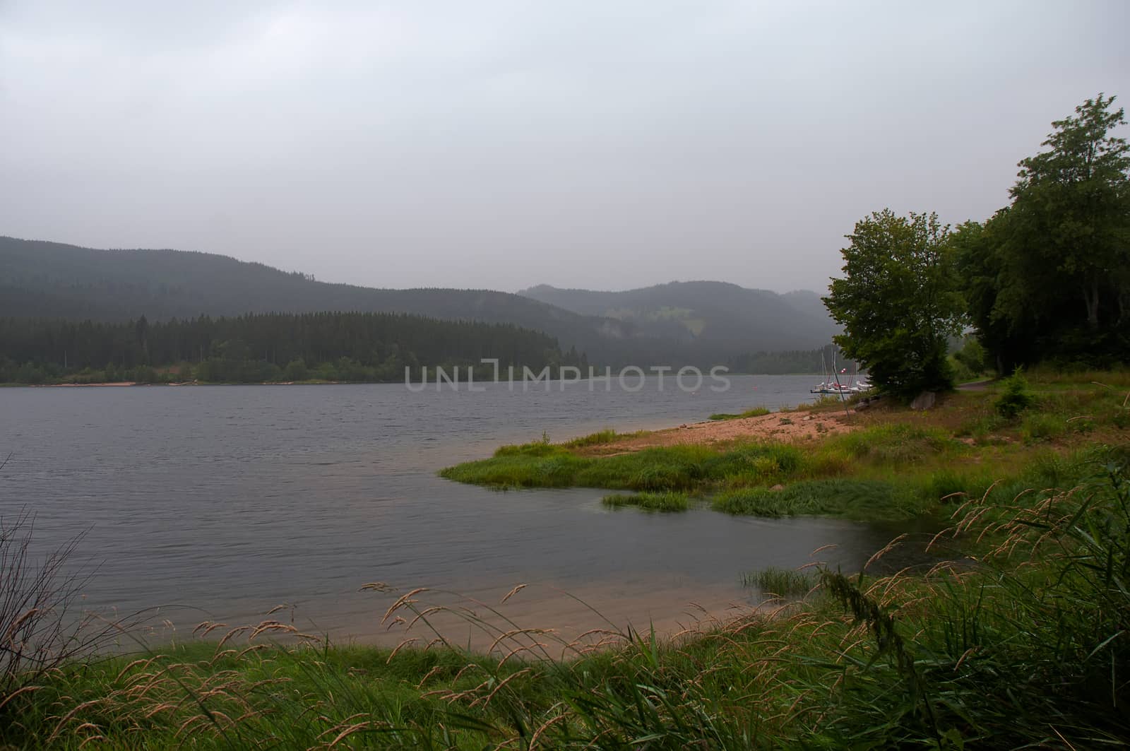 Lake Titisee . by LarisaP