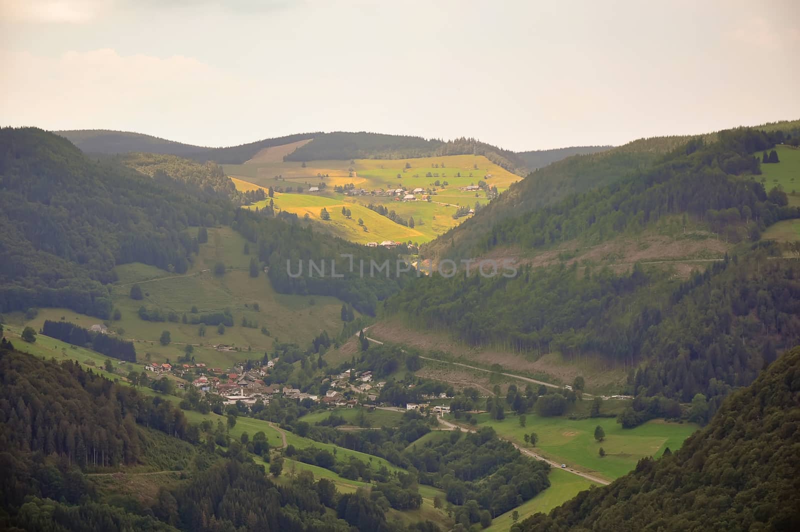 Black Forest .Germany .Mountain .Top view .