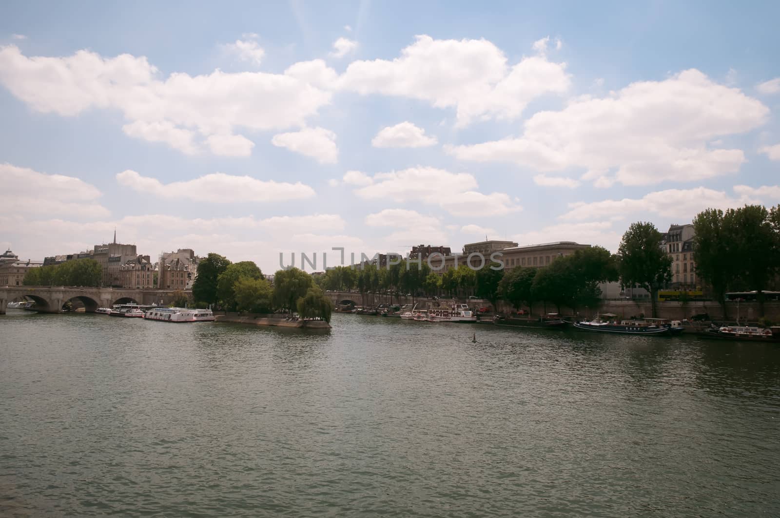 Cite Island and Pont Neuf, the oldest stone bridge across the Seine river in Paris, France