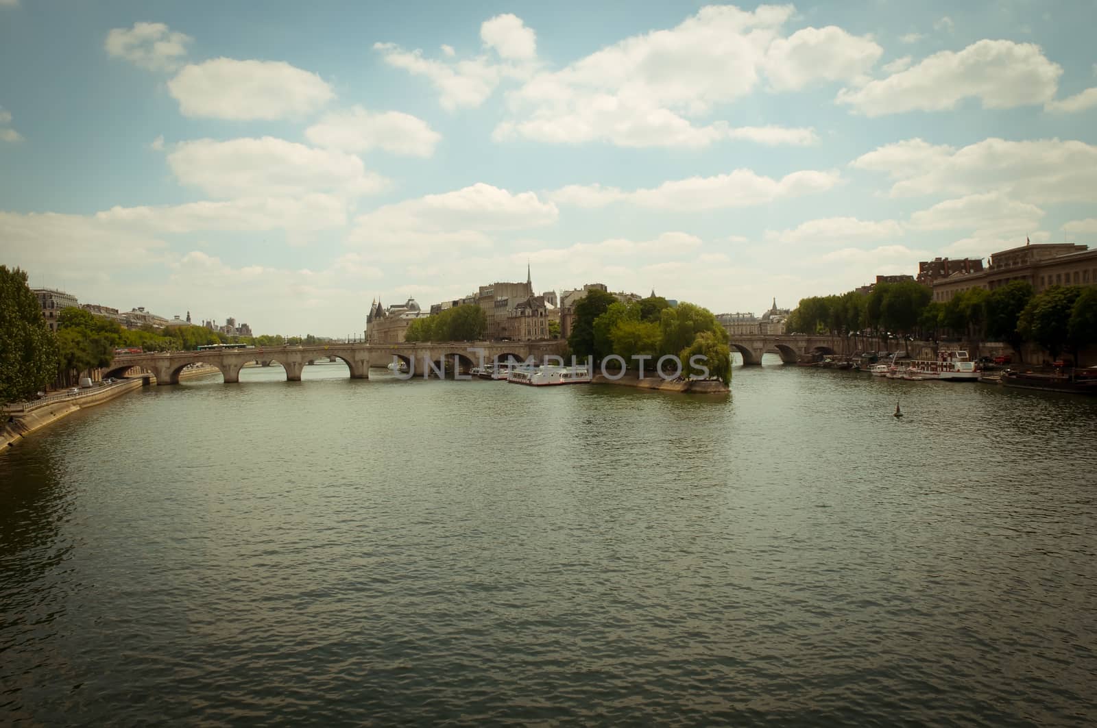 Pont Neuf, and New Bridge (fr. Pont Neuf) - the oldest surviving by LarisaP