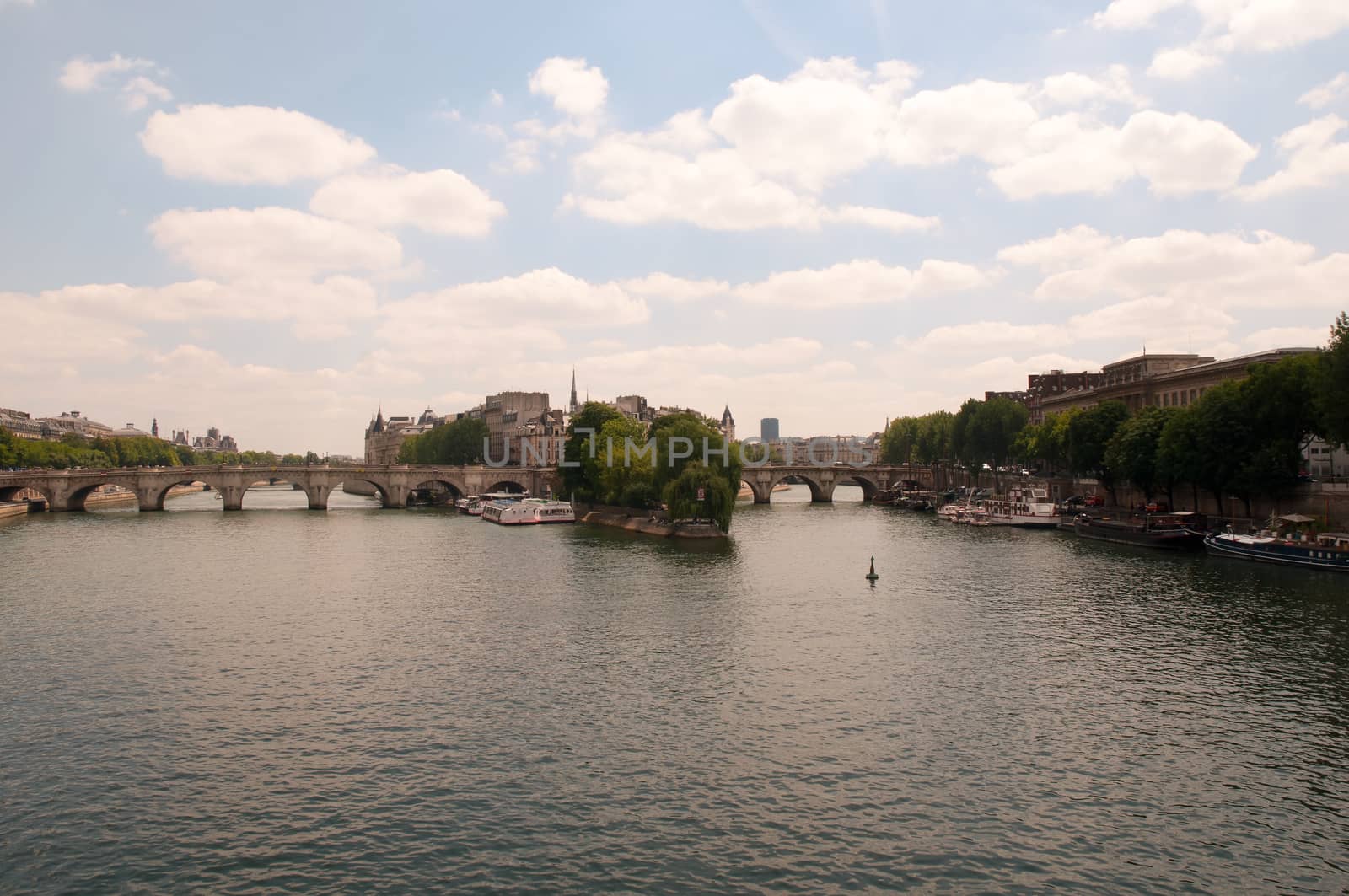 Pont Neuf, and New Bridge (fr. Pont Neuf) - the oldest surviving by LarisaP