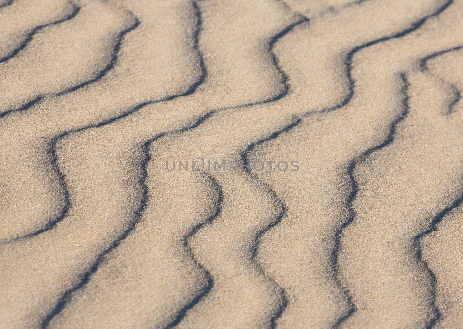 Wavy lines making a pattern on a sand dune