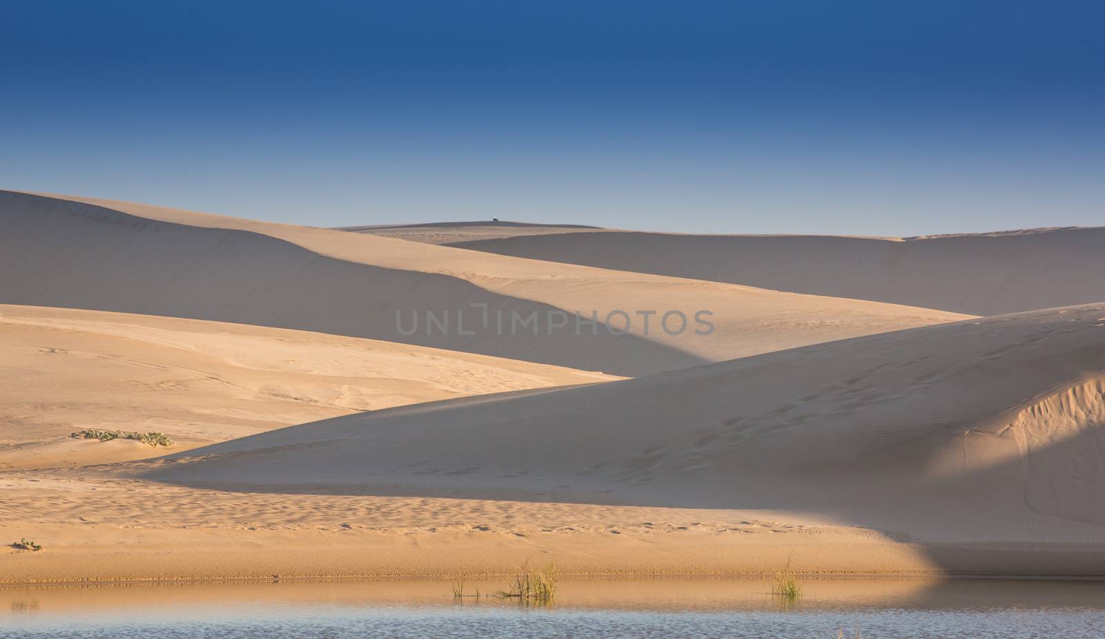 Sand Dunes and Water by fouroaks