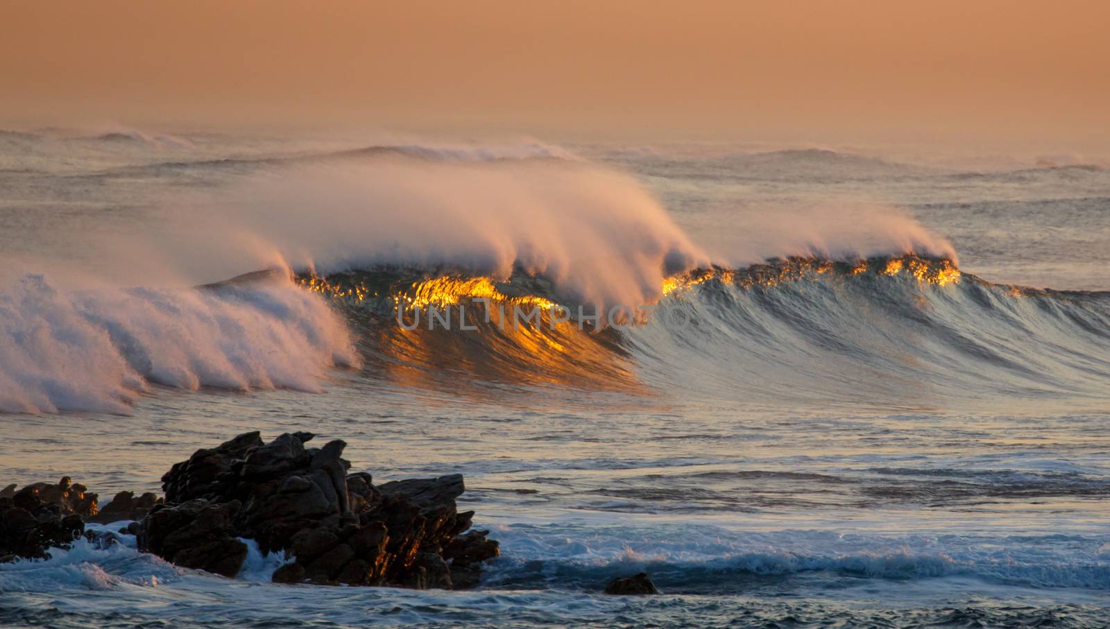 Beautiful wind swept waves with golden reflectiom from the suset