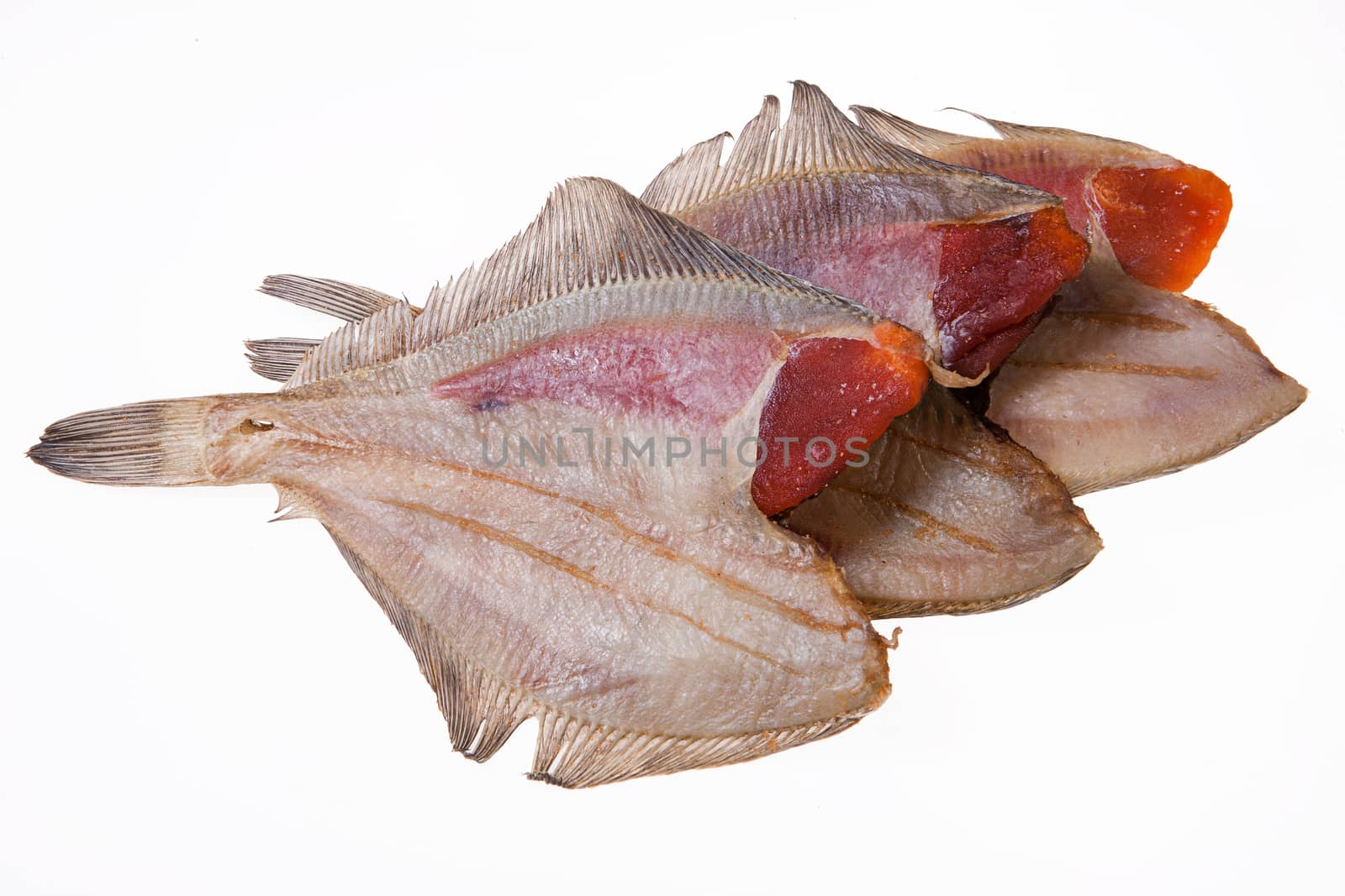 Fish on an isolated studio background