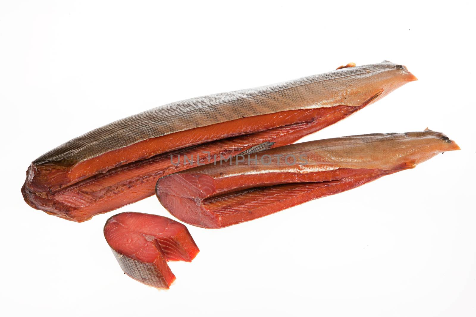 Fish on an isolated studio background